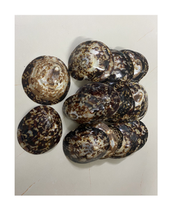 กรอบเปลือกหอยของเวียดนามสำหรับการตกแต่งแบบทำมือโครงการงานฝีมือทางทะเลและวัสดุการออกแบบศิลปะส่งออกไปทั่วโลก - Product Image 1