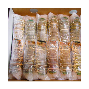Homard congelé, queues de homard congelées, homard frais vivant - Product Image 6