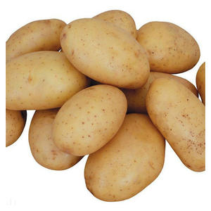 Pommes de terre fraîches de qualité supérieure, prix de gros pour l'exportation - Product Image 1