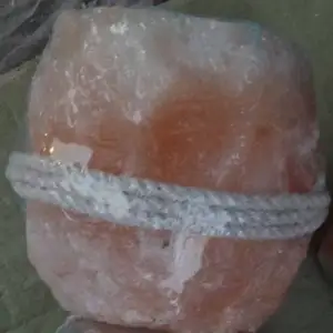Bloc à lécher rose fin 2.5 kg sel d'animaux de l'Himalaya de marque privée sur corde pour tous les animaux d'alimentation en gros