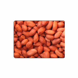 Cacahuete de grado alimenticio orgánico, cacahuete tostado, venta al por mayor, cacahuetes de piel roja seca, nueces de tierra crudas, cacahuetes - Product Image 4