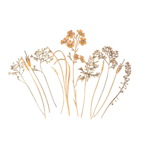 Trending Design Garden Premium Quality Garden <b>Stakes</b> <b>for</b> Garden Vegetables Fruits Labeling Usage <b>Metal</b> Craft <b>Stakes</b> - Product Image 2