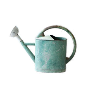 Regadera Vintage, regadera galvanizada, regadera de flores de jardín, jarra acabada de hierro y plata de Metal - Product Image 3