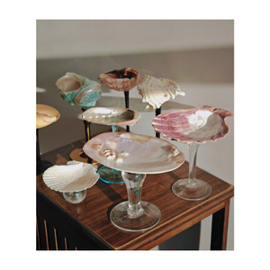 Verres coquillage fabriqués à la main à partir de coquillages de qualité supérieure pour la vaisselle de station balnéaire exotique fabriquée au Vietnam - Product Image 2