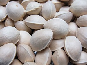 Nueces de Ginkgo Frescas Crudas de Alta Calidad y Alta Germinación, las Más Vendidas, para Consumo Humano, a Granel, Francia, 24 Meses de Vida Útil, en Venta - Product Image 6