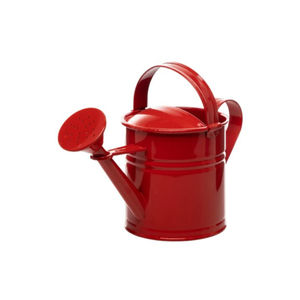 Conception attrayante canette d'eau galvanisée meilleure qualité bidon d'eau de taille personnalisée avec poignée pour outils de jardin - Product Image 5