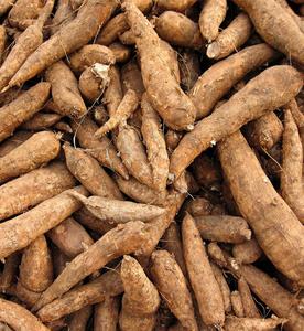 Amidon de tapioca 100% biologique/ Produit de haute qualité LY CUONG Exportation et marché d'exportation mondial - Product Image 2
