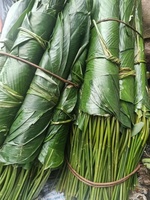 Big Dong laisse des feuilles de Dong vertes fraîches pour emballer des aliments décorés du Vietnam