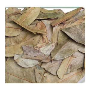 ARTÍCULO CALIENTE HOJAS DE GRAVIOLA/HOJAS DE SOURSOP SECAS/EL MEJOR INGREDIENTE PARA EL TÉ DE ASIA A PRECIO COMPETITIVO - Product Image 4