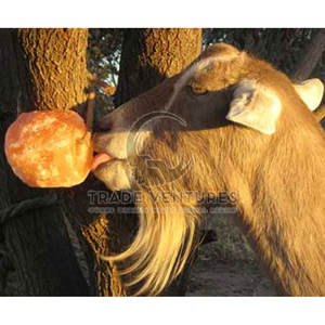 เกลือเลียสำหรับสัตว์คุณภาพพรีเมียม อาหารสัตว์ โลโก้สั่งทำ เกลือเลียสำหรับสัตว์ รุ่นใหม่ล่าสุด - Product Image 3