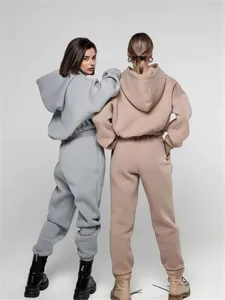 Conjuntos de sudaderas con capucha y cremallera de dos piezas de peso pesado personalizados chándal holgado de rizo francés chándal de gran tamaño para mujer - Product Image 2