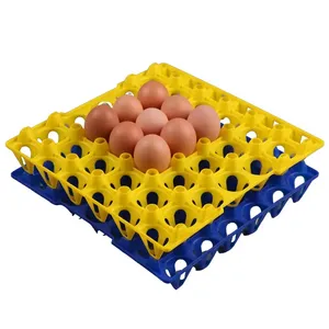 Hühner-eier-tablett aus kunststoff mit 30 eier HJ-DT001