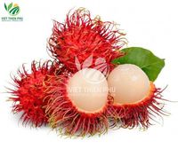 2025 Groothandel Iqf Biologische Rambutan Vers Zoet Geconserveerd Hoge Kwaliteit Water Vietnam Tuinen Bulk Vacuüm Verpakt Bevroren Fruit