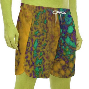 Shorts d'été en coton uni de qualité supérieure à la mode dernière conception Shorts de jogging pour hommes Nouvelle arrivée Jogger Jogging Shorts - Product Image 2