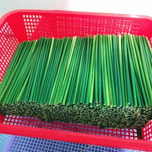 Bâtonnets de paille d'herbe séchée écologique 100% pailles d'herbe naturelle, biodégradables et sans plastique à vendre - Product Image 6