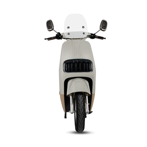Trottinette électrique haute puissance 1000W pour adultes, roue de 10 pouces, longue portée 50-60 km, marche arrière, alarme USB, télécommande - Product Image 1