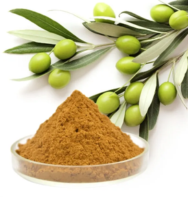 ผงสกัดใบมะกอก98% คุณภาพสูงสารสกัดจากใบมะกอก - Product Image 1