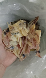 Calamar bebé crudo sin sal de primera elección que exporta a granel sin aditivos al por mayor sopa de calamar seco de calidad superior - Product Image 4