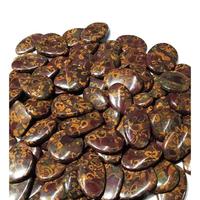 Pierre précieuse de jaspe de fruits naturel, polie des deux côtés, formes variées, pierres de jaspe de fruits en vrac pour la fabrication de bijoux, cabochons en gros