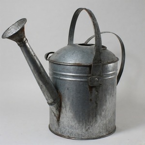 Arrosoir galvanisé artisanal avec surface décorative en relief et taille compacte pour l'entretien des plantes d'intérieur - Product Image 1