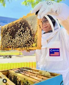 WHITEPAK WP 659 BG Professional XL Cuero de grano de vaca Guantes de seguridad certificados ANSI Apicultura Mano Brazo Protección Precio bajo - Product Image 6