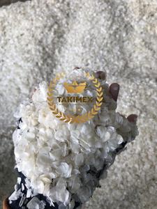 เกล็ดปลาแห้งจากเวียดนาม/ossein เกล็ดปลา/เกล็ดปลามีสารสกัดจากถุง PP บรรจุ15 -20กก. - Product Image 4