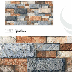 Carreaux muraux extérieurs en porcelaine 300x600mm Série Élévation - Product Image 1