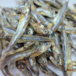 Proveedor de pescado de anchoa secado al sol de aperitivos calientes de Vietnam siempre de alta calidad y barato