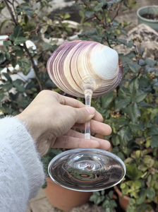 Élégante tasse en coquillage pour les événements de croisière et le cadre de table artistique - Product Image 3