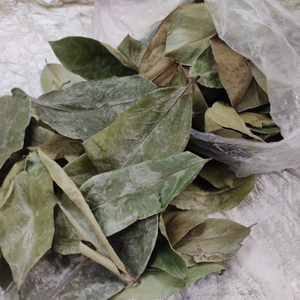 ทุเรียนเทศขายส่งฉลากสะอาดส่งออกจำนวนมาก - Product Image 5