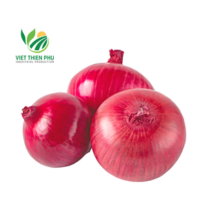 Oignon surgelé naturel 100% du Vietnam Qualité d'exportation au meilleur prix Catégorie de légumes - Product Image 3