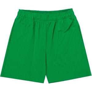 2025 Offre Spéciale hommes Logo personnalisé Fitness maille Shorts séchage rapide taille élastique respirant mi haute qualité été Shorts - Product Image 4