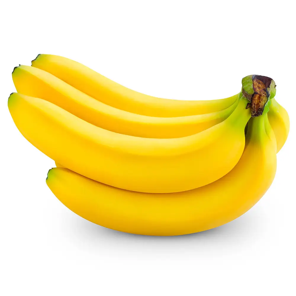 Qualité supérieure-Banane verte à vendre-Bananes fraîches naturelles Nouvelle récolte-exportation de fruits frais dans le monde entier