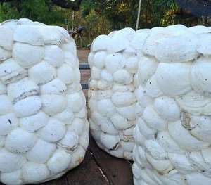 Caoutchouc naturel en poudre de qualité moulage DRC pour coupelles en latex – Caractéristiques - Product Image 3