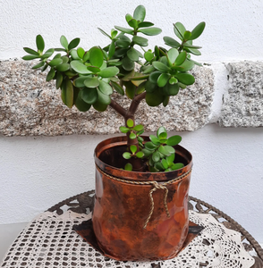 Jardinière moderne en métal doré poli, écologique, élégante, pour l'intérieur et l'extérieur, pot de plante décoratif pour la maison, le salon, le bureau, l'hôtel - Product Image 2