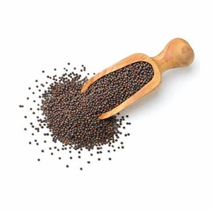 Livraison en gros de graines de canola biologique pur disponibles au prix du marché - Product Image 5