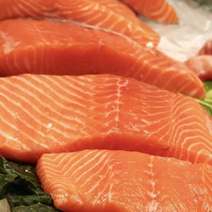 Migliore qualità prezzo di vendita delizioso filetto di salmone atlantico Premium con una grande fonte di proteine e ricco di vitamina