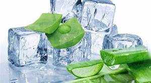 GEL D'ALOE VERA CONGELÉ AVEC DES INGRÉDIENTS PROPRES POUR BOOST DU SYSTÈME IMMUNITAIRE - Product Image 2