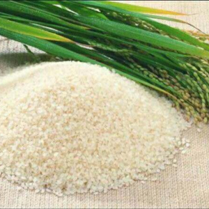 SUMINISTRO A GRANEL DE ARROZ GLUTINO DE VIETNAM ARROZ DULCE PURO DE ALTA CALIDAD - Product Image 3