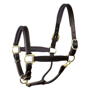 CABALLO ACOLCHADO NEGRO/NEGRO DE 1 "CON HERRAJES DE LATÓN - Product Image 6