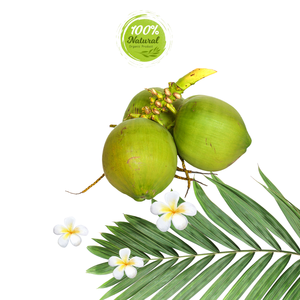 Coco fresco vietnamita, fuente de energía naturalmente refrescante, producto agrícola - Product Image 3