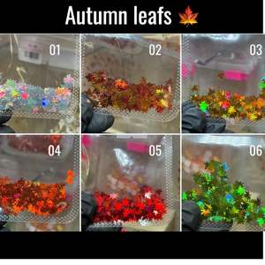 Decorazioni per Unghie 3D A10jet Foglie Autunnali, Adesivi per Nail Art Carini e Alla Moda in Resina Fai-da-Te con Retro Autoadesivo, Campione Gratuito - Product Image 6