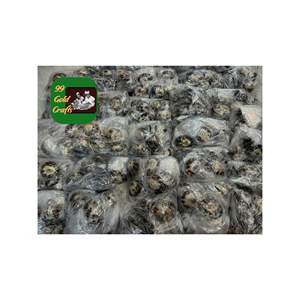 COQUILLES DE LIMPET POLI DU VIETNAM COQUILLES DE MER OVALES NATURELS POUR LA DÉCORATION ET LA VENTE EN GROS DE BIJOUX D'ART EN RÉSINE - Product Image 1