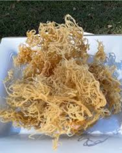 Musgo Irlandés Natural de Vietnam, Fuente Marina Limpia para el Apoyo Inmunológico, la Salud Digestiva y la Dieta a Base de Plantas - Product Image 1