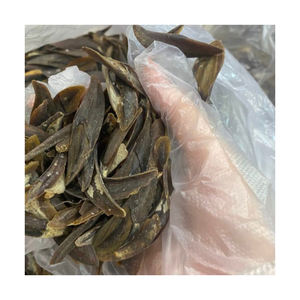 Opercule de coquillage, ingrédient naturel, vente en gros, fournisseur en vrac, export direct d'usine, OEM - Product Image 2