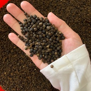 [Keith Vilaconic] Poivre noir cru du Vietnam de qualité supérieure 500 g/l Grains séchés gros grains avec un arôme intense - Meilleurs prix de gros pour les achats en vrac - Product Image 5