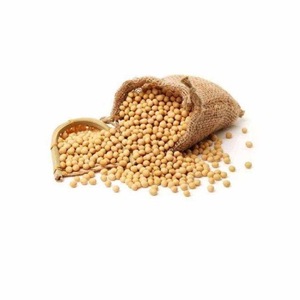 Graines de soja biologiques de haute qualité en vrac, non-OGM, soja cru séché en sacs, bonne qualité - Product Image 1