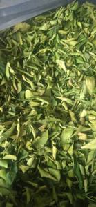 Hot selling Lime leaf bulk export <b>ingredient</b> from Vietnam factory supporting large scale <b>food</b> processing & international trade - Product Image 5