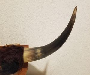 Decoración de Pared Rústica Vintage de Cuerno de Búfalo, Cuerno de Toro Montado en Plata de f s international - Product Image 6