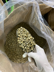 Grains de café au miel Robusta exclusifs de haute qualité-Tailles S13, S16, S18-Haricots verts de qualité AA pour l'exportation du Vietnam par DHPOne - Product Image 4
